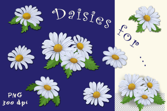 Download White Daisies - Daisies Collection