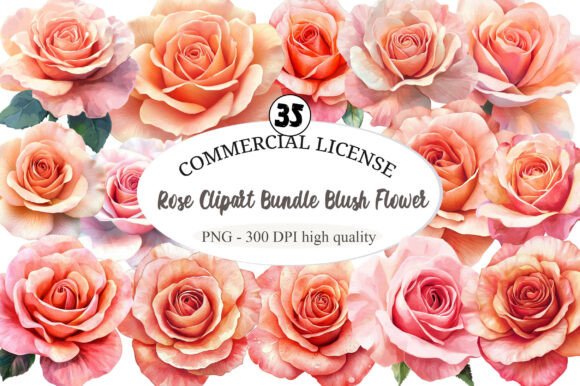 Download Rose Clipart Bundle Blush Flower - Blush flower Collection