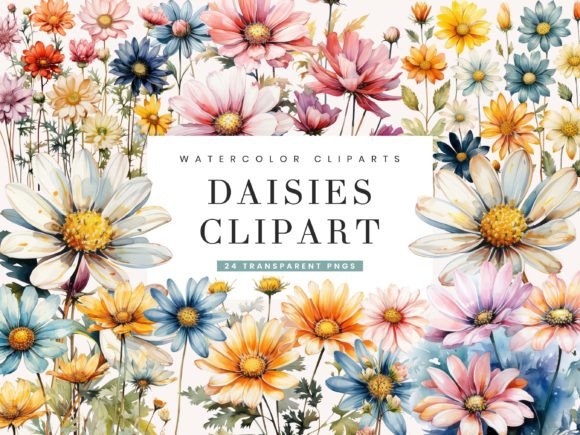 Download Watercolor Daisies Clipart Bundle - Daisies Collection