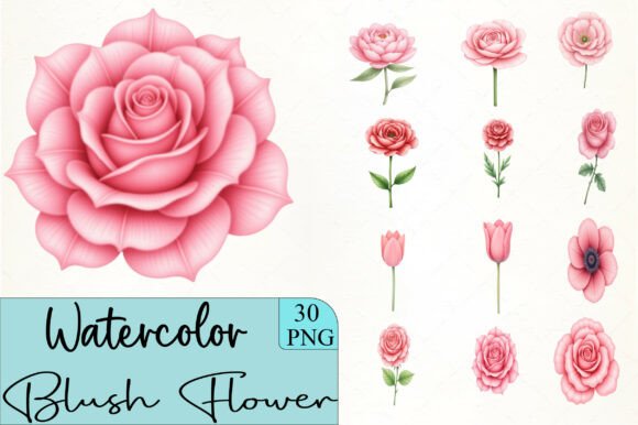 Download Blush Flower Clipart - Blush flower Collection
