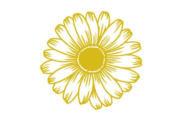 Download Intricate Cut Illustration - Daisies - Daisies Collection